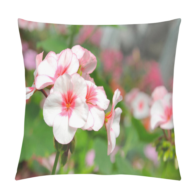 Personality  Pink flora blossom in the garden pillow covers
