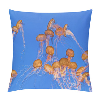 Personality  Beautiful Jelly Fishes In The Aquarium Pillow Covers
