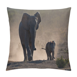 Personality  Elephants In Dust Pillow Covers