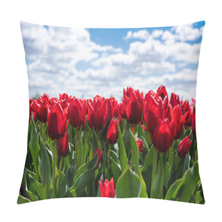 Personality  Colorful Red Tulips Against Blue Sky And Clouds Pillow Covers
