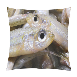 Personality  Series Of Caught Fish Called Sand Smelt With Big Eyes Very Appreciated In The Italian And Mediterranean Cuisine Pillow Covers