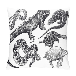 Personality  Lizards, Snakes And Turtles Set. Isolated Black Sketch On White  Pillow Covers