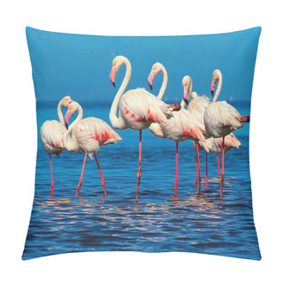 Personality  Wild African Birds. Group Of African White Flamingo Birds And Their Reflection On The Blue Water.  Pillow Covers