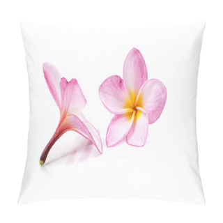 Personality  Nature Pattern Of Blossoming Color Exotic Rose Pink Frangipani Flower, Close Up Of Pink Plumeria Or Frangipani (Hawaii, Hawaiian Lei Flower, Bali Indonesia, Shri-Lanka Ceylon, Spa) With Clipping Path Pillow Covers
