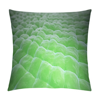 Personality  Plant Tissue Close-up Pillow Covers