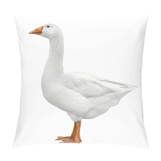 Personality  Domestic Goose Isolated On White Pillow Covers