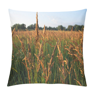 Personality  View Of Wheat Field In Evening Sunlight Pillow Covers