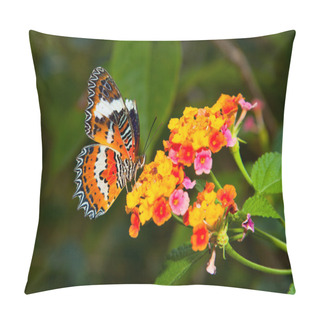 Personality  Beautiful Butterfly On Colorful Flower Pillow Covers