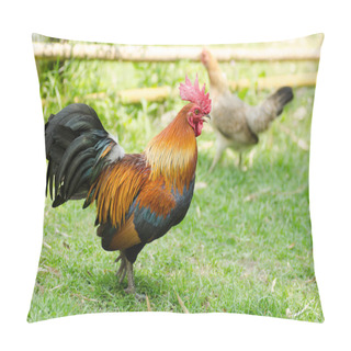Personality  Asian Bantam On Green Grass Pillow Covers