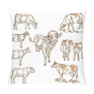 Personality  Hand Drawn Farm Animals. Milk Cow, Cattle, Bull, Calf Isolted On White. Vector Illustration Engraved Pillow Covers