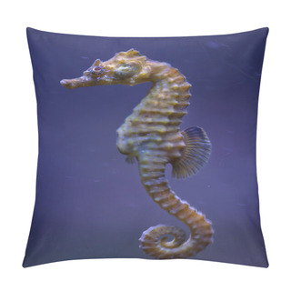 Personality  Short-snouted Seahorse (Hippocampus Hippocampus). Pillow Covers