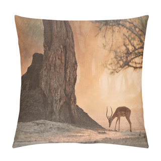 Personality  African Landscape With Animals. Impala Antelope In Orange Cloud Of Dust, Illuminated By Morning Sun. Ancient Forest Of Mana Pools, Zimbabwe. Pillow Covers