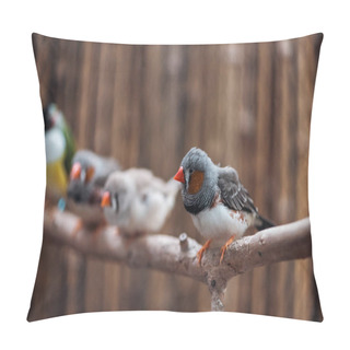 Personality  Selective Focus Of Colorful Birds On Wooden Textured Branch Pillow Covers