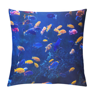 Personality  Tropical Fish With Corals  Pillow Covers