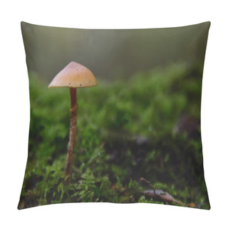 Personality  The Lonely Mushroom Pillow Covers