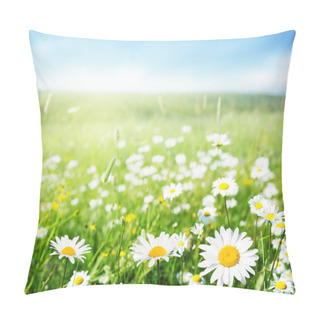 Personality  Field Of Daisy Flowers Pillow Covers