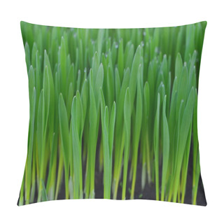 Personality  Green Grass Pillow Covers