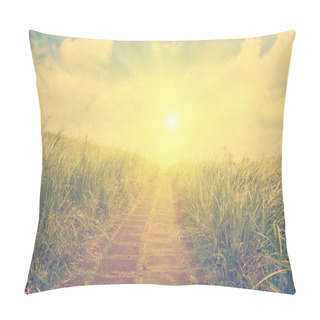 Personality  Pathway On Picturesque Meadow Pillow Covers