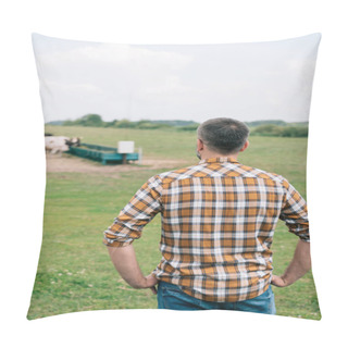 Personality  Back View Of Farmer Standing With Hands On Waist And Looking At Cattle In Field Pillow Covers