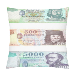 Personality  Different Hungarian Forints Pillow Covers