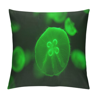 Personality  Green Illuminated Aurelia Jellyfish Underwater Pillow Covers