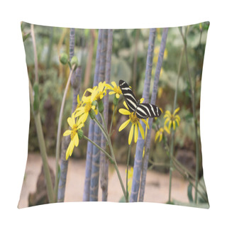 Personality  Vibrant Stripes Delicate Flight, Natures Art Pillow Covers