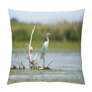 Personality  Great White Egret In The Swamps Of The Danube Delta In Romania Pillow Covers