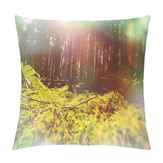 Personality  Exotic Fern In Sunlight Pillow Covers