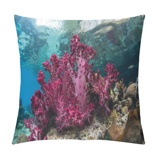 Personality  Colorful Soft Corals Grow Along The Edge Of A Limestone Island In Raja Ampat. This Tropical Region Is Known As The Heart Of The Coral Triangle Due To Its Marine Biodiversity. Pillow Covers