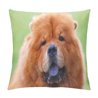 Personality  Portrait Of Chow Chow Dog Pillow Covers