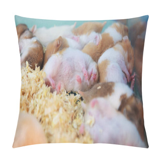 Personality  Cute Innocent Baby Brown And White Syrian Or Golden Hamsters Sleeping On Sawdust Material Bedding. Pet Care, Love, Rodent Animal Farming, Human Friend Or Companion And Leisure Activities Concept. Pillow Covers