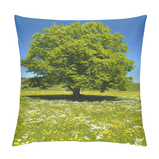 Personality  Single Big Beech Tree In Field With Perfect Treetop Pillow Covers