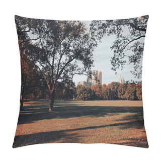 Personality  New York City Park With Trees And Lawn With Contemporary Skyscrapers On Background Pillow Covers