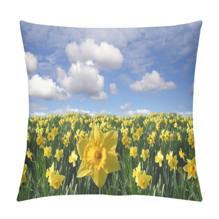 Personality  Yellow Daffodils Field Pillow Covers