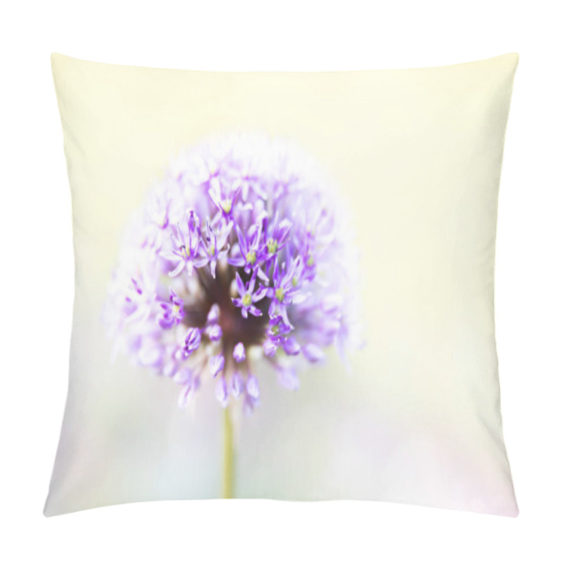 Personality  Purple Allium Blossom Pillow Covers
