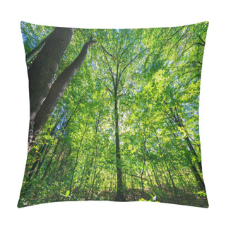 Personality  Beautiful Green Forest Pillow Covers