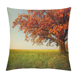 Personality  Autumn Oak Pillow Covers