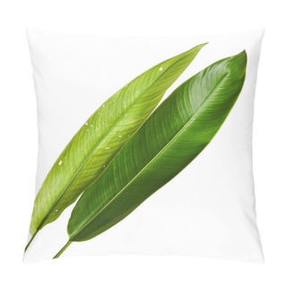Personality  Strelitzia Reginae, Heliconia, Bird Of Paradise Foliage Isolated On White Background, With Clipping Path Pillow Covers