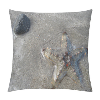 Personality  Marine Starfish, Aquatic Creature Pillow Covers