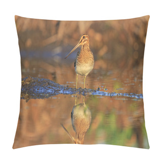 Personality  Snipe With Long Beak Standing In A Pose Pillow Covers