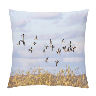 Personality  Migration Flock Of Geese. English Name This Species Is Greater White-fronted Geese Pillow Covers