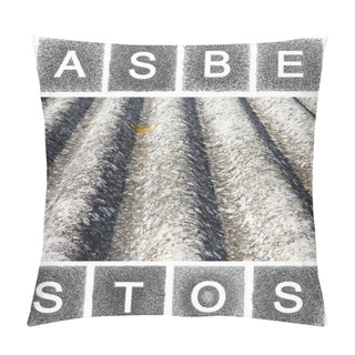 Personality  Dangerous Asbestos Roof Pillow Covers