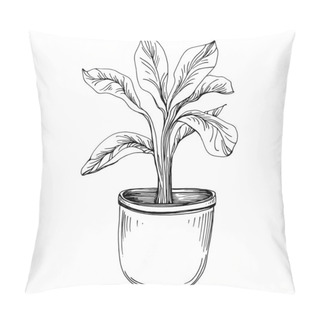 Personality  Home Plant In Pots Sketch. Outline Drawing Isolated  Illustration Of Growing Flowers In A Hanging Plant For Interior Home Or Office Decoration. Vector Of Garden Flowers. Pillow Covers