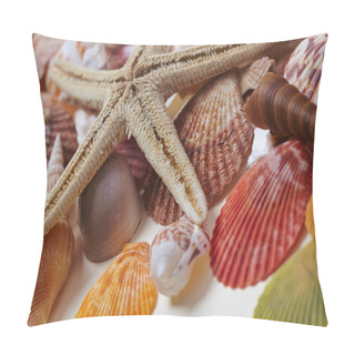 Personality  Nice Sea Shells And Sea Star Pillow Covers