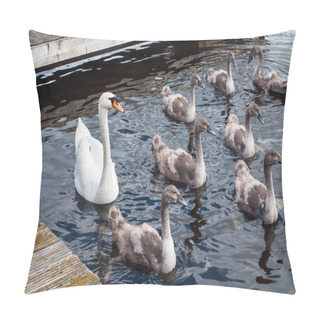 Personality  Swan With Cygnets Or Baby Swans Pillow Covers