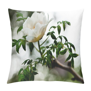 Personality  Bunch Of White Peony Flower (shallow DOF) Pillow Covers