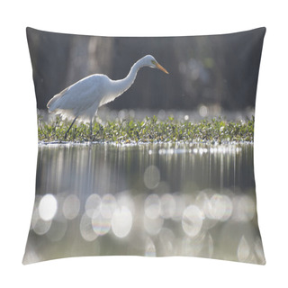 Personality  The Egret Looking For Fish Pillow Covers