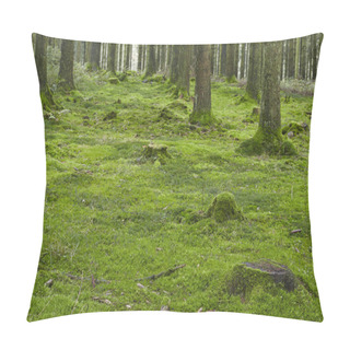 Personality  A Forest With Trees, Stubs And A Moss-covered Forest Floor Taken At Diffused Light. Pillow Covers