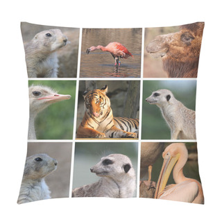 Personality  Wild Animals Pillow Covers