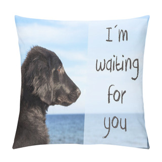 Personality  Dog At Ocean, Text I Am Waiting For You Pillow Covers